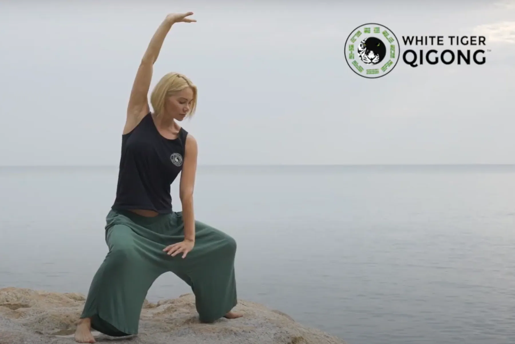 Still frame from the White Tiger Qigong testimonial interview video